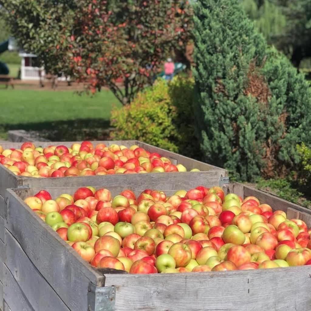 The Cortland Cottage At Brant'S Apple Orchard 阿什塔比拉 外观 照片