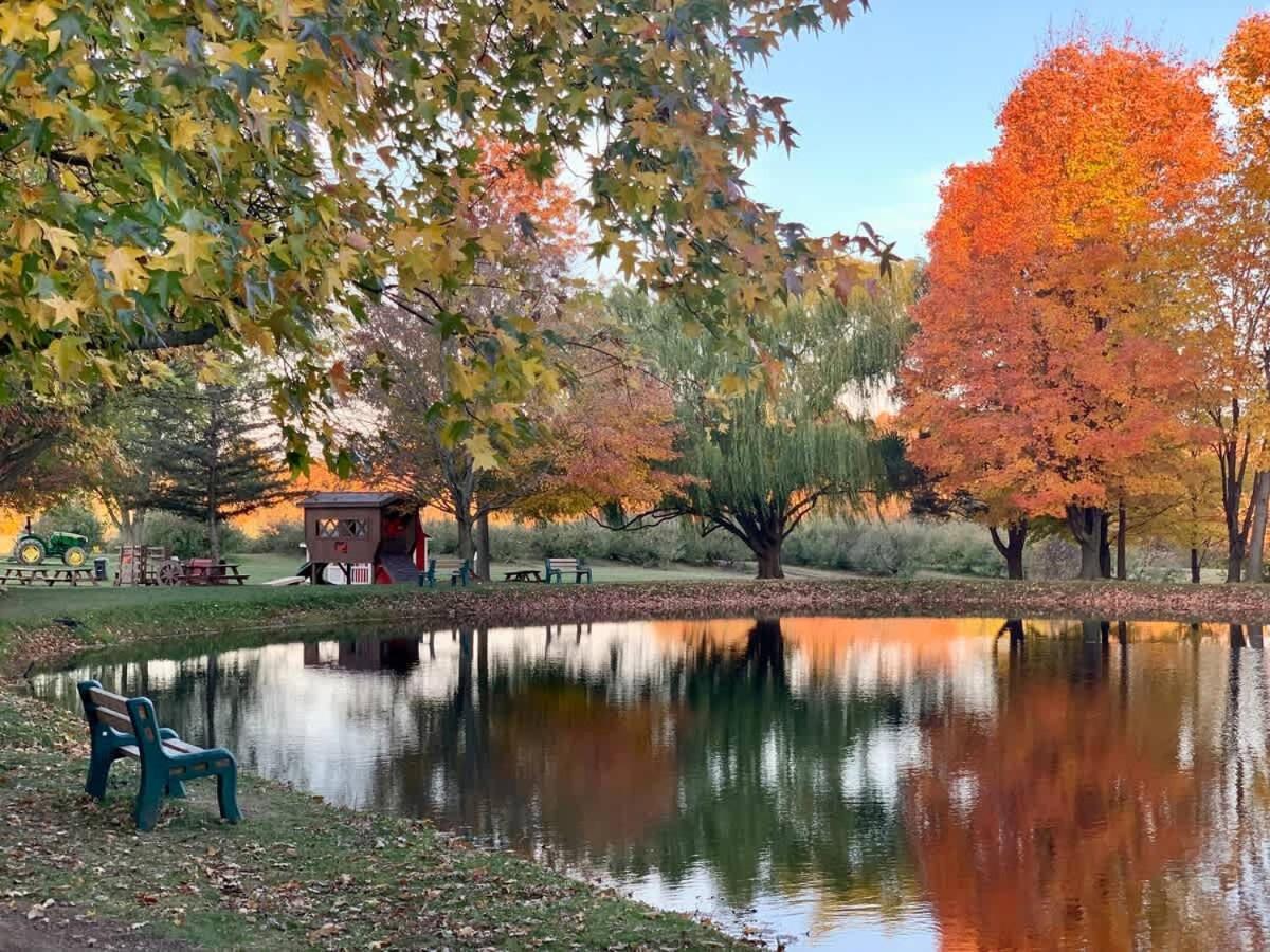The Cortland Cottage At Brant'S Apple Orchard 阿什塔比拉 外观 照片